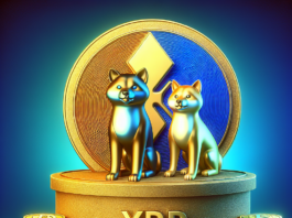 Coinbase Classifies XRP and Shiba Inu as Money and Store of Value Assets - Crypto News Flash