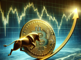 Crypto Bull Run 2025: Bitcoin Price at $300K, Predicts Expert - Coinpedia Fintech News