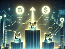 Shiba Inu, Dogecoin, and Rexas Finance: Which Cryptocurrency Could Transform a $1,000 Investment by 2030? - HPBL